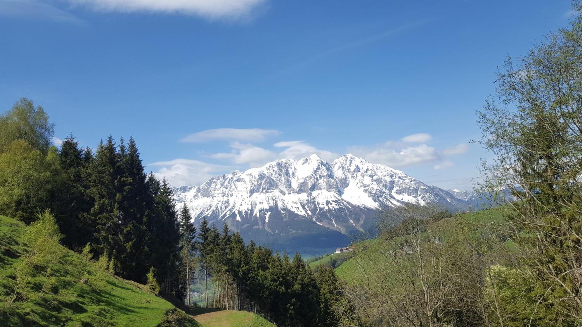Kloiberhof Dom wakacyjny Oblarn